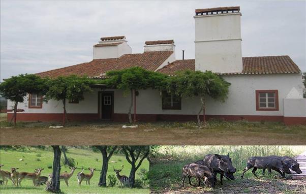 Country House_for_sale_in_Portel_SMA7406